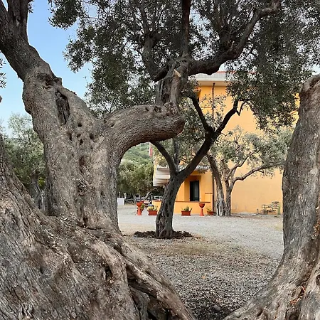 Apartamento Il Pantheon - Ermes *